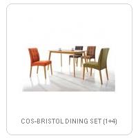 COS-BRISTOL DINING SET (1+4)